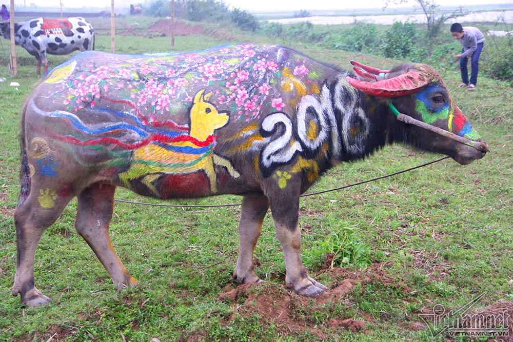 Vua 90 tuổi đi cày đầu năm ở lễ Tịch điền